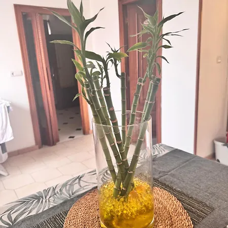 Centricas Tranquilidad Y Confort *