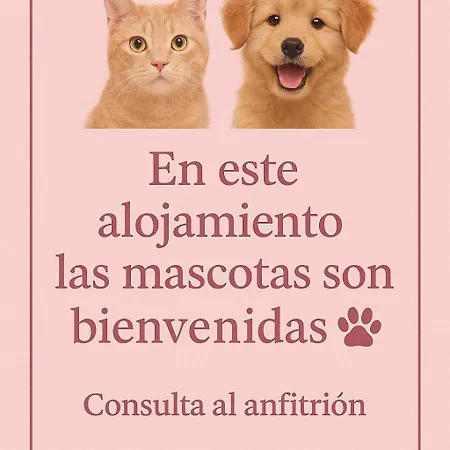 Centricas Tranquilidad Y Confort Accommodatie bij particulieren